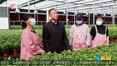 汶上：打造特色花卉种业 为乡村振兴锦上添“花”