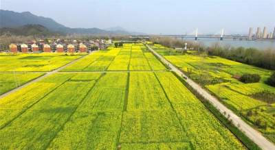 金乡县：让每一寸耕地 都成为丰收的沃土