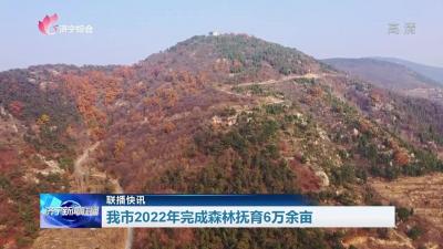 济宁市2022年完成森林抚育6万余亩