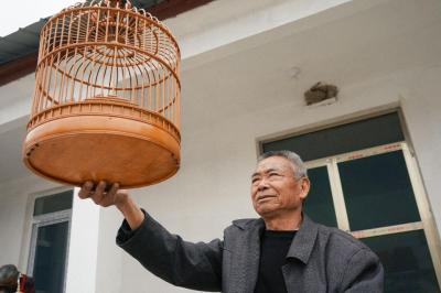 太白湖新區石橋鎮鳥籠手藝人，四代傳承傳統工藝