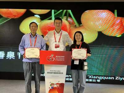 邹城峄山大樱桃在第九届国际樱桃大会获“两个大奖”