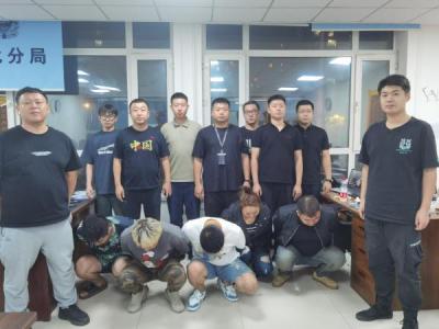 哈尔滨“宝妈”群13人被抓：被骗金额高达500余万元