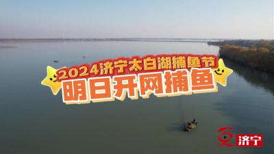 更济宁 | 2024济宁第九届太白湖捕鱼节明日开网捕鱼