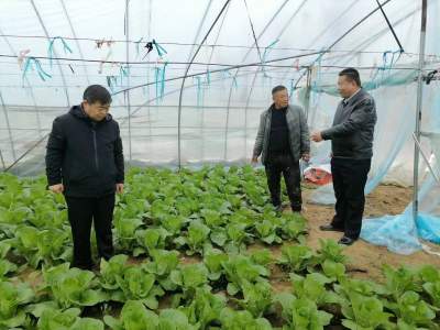 金乡：多措并举 拓宽高素质农民产业发展路径