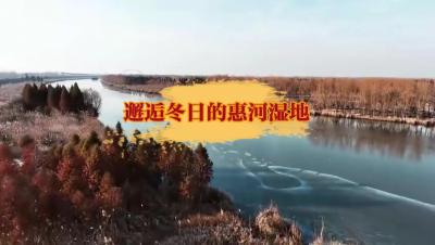 更济宁丨邂逅冬日的惠河湿地