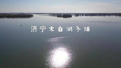 更济宁丨济宁太白湖冬捕