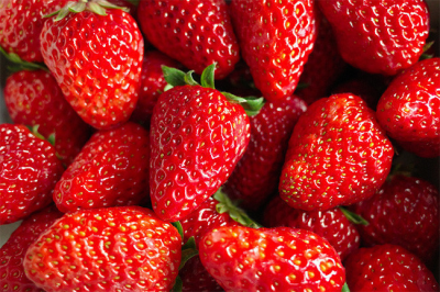 卞家庄草莓