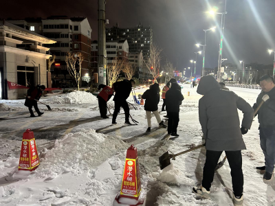济宁高新区柳行街道绿色家园社区开展“除雪保平安”活动
