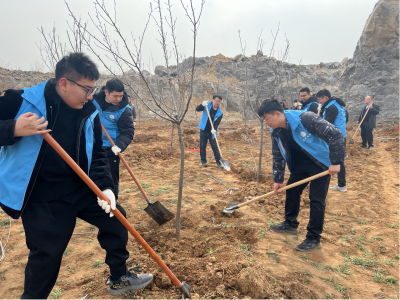 济宁经济开发区社会治理服务中心开展植树活动