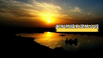 更济宁丨金水湖国家湿地公园