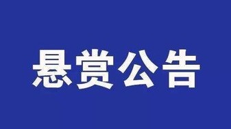 济宁市中级人民法院执行悬赏公告