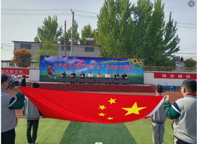 邹城市太平镇举办第三届“镇长杯”校园足球联赛