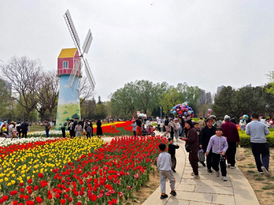 Jining tourism market flourishes during Qingming festival holiday