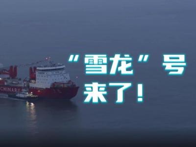 “雪龙”号来了！中国第40次南极考察圆满结束