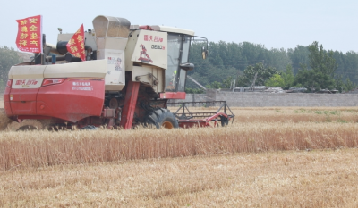 嘉祥县67.8万亩小麦开镰收割