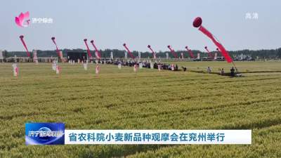 省农科院小麦新品种观摩会在兖州举行